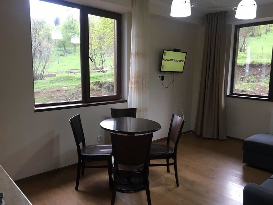 Дома для отпуска Bakuriani best price residence Бакуриани