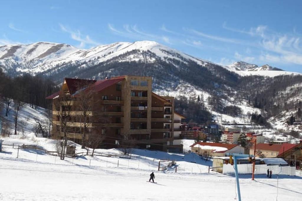 Дома для отпуска Bakuriani best price residence Бакуриани