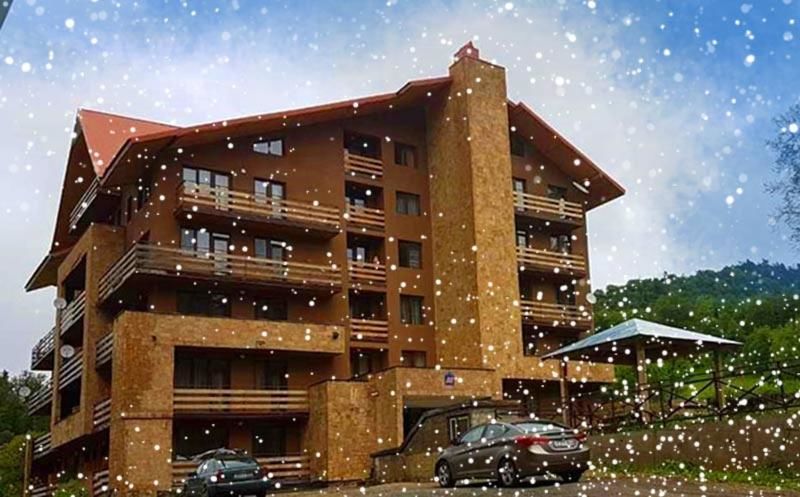 Дома для отпуска Bakuriani best price residence Бакуриани