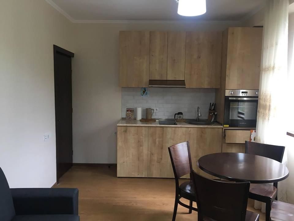 Дома для отпуска Bakuriani best price residence Бакуриани
