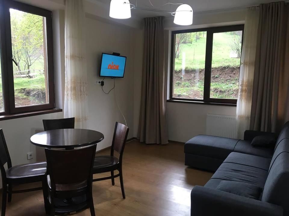 Дома для отпуска Bakuriani best price residence Бакуриани