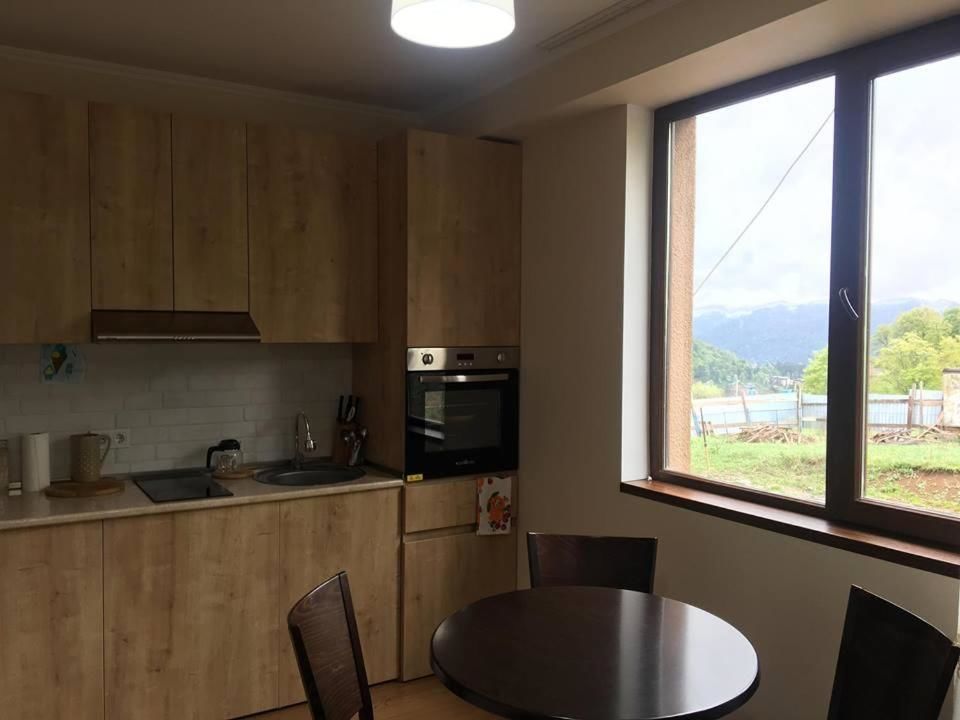 Дома для отпуска Bakuriani best price residence Бакуриани