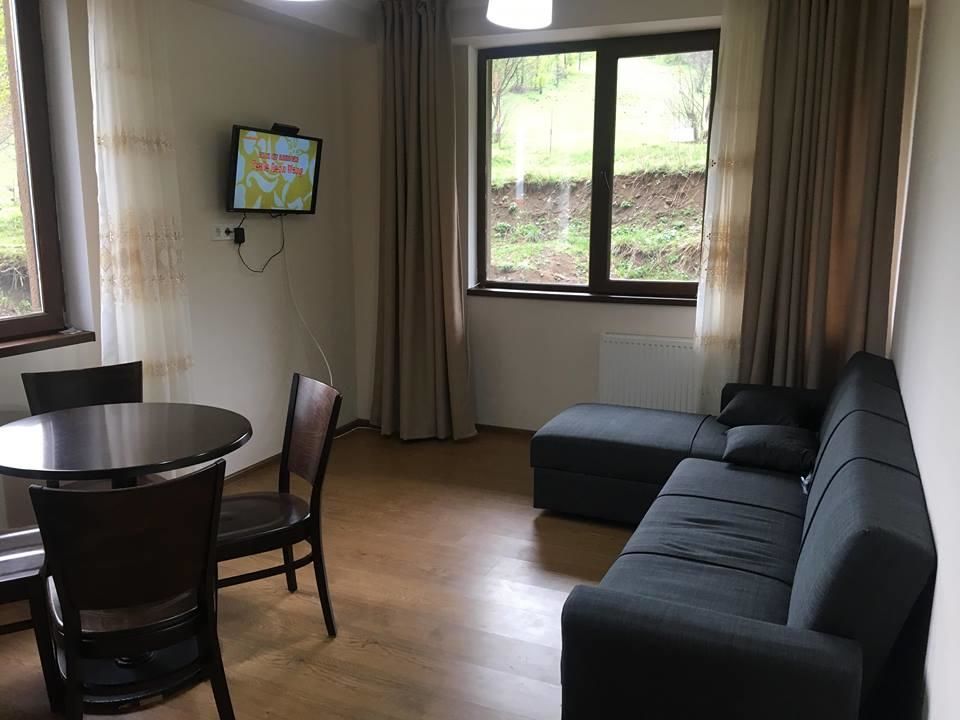 Дома для отпуска Bakuriani best price residence Бакуриани